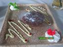 Warm chocolate cake