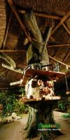 Inside 1Borneo Rainforest